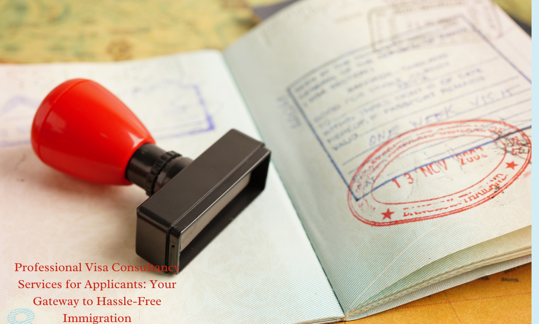 Professional Visa Consultancy Services for Applicants: Your Gateway to Hassle-Free Immigration