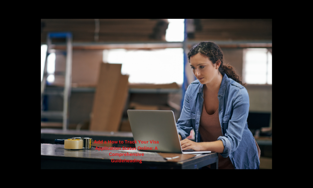 How to Track Your Visa Application Status Online: A Comprehensive Guide