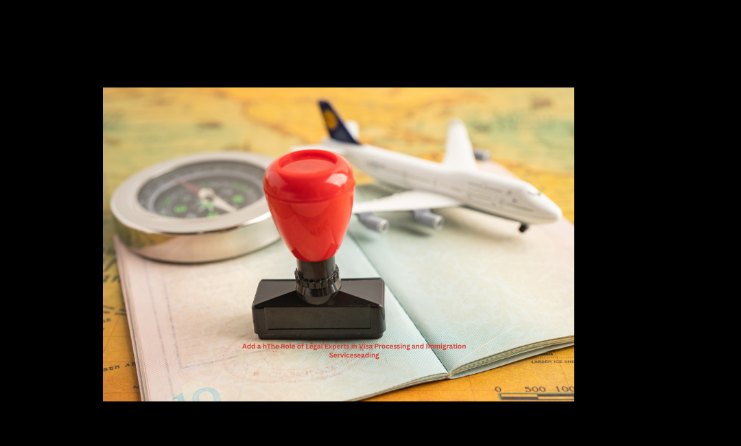 The Role of Legal Experts in Visa Processing and Immigration Services