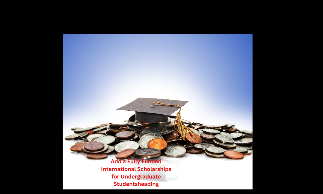 Fully Funded International Scholarships for Undergraduate Students